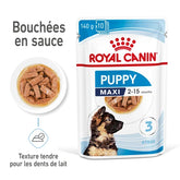 Royal Canin Aliment Humide Chien Maxi Puppy Sauce-Sachet fraîcheur pour chiot 140G